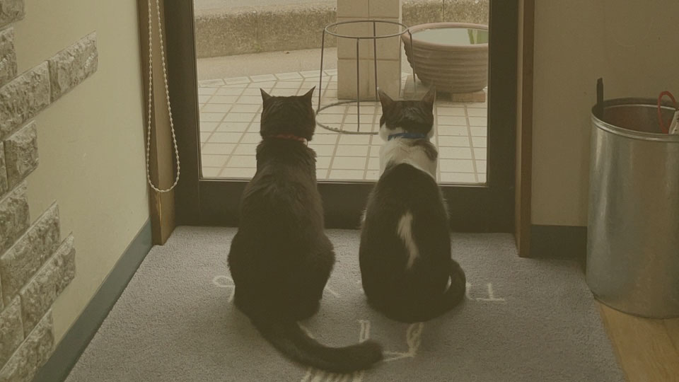 髪屋-KOU_メイン画像